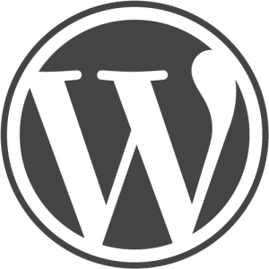 wordpress-designagentur